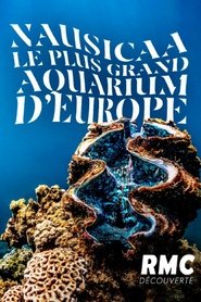 Nausicaa, le plus grand aquarium d'Europe movie poster