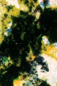 Poster Enfouissement – fossile (Effacement – disparition) 2004