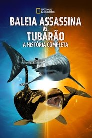 Pôster de Baleia Assassina vs. Tubarão: A História Completa