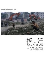 Poster Demolition 2008