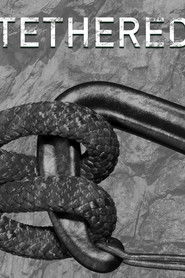 MongoDB.Entities.FuzzyString