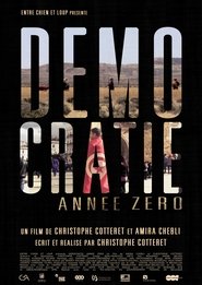 Poster Démocratie Année Zéro 2014