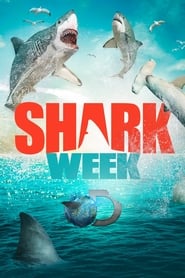 Shark Week постер