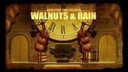 Walnuts & Rain
