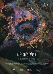 A Bird's Wish