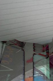 No Impersonator , Perpetrator (2017)