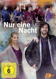 Poster Nur eine Nacht