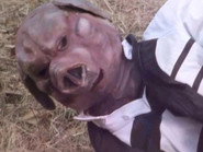 RX Became a Pig