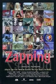 Zapping 1999