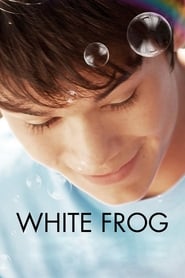 Poster White Frog