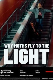 Why Moths Fly to the Light? Why Moths Fly to the Light?
