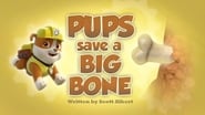 Pups Save a Big Bone