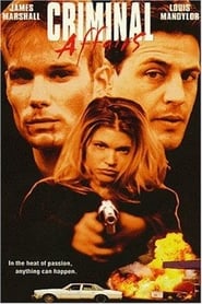 Poster Criminal Affairs 1998