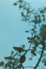 Ideal and reality (2023)