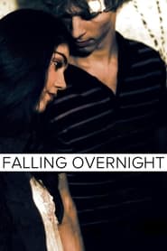 Full Cast of Falling Overnight