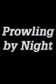 Poster Prowling by Night 1990