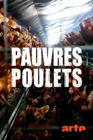 Poster Armes Huhn – armer Mensch 2019