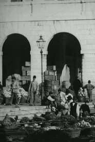 Poster Panoramic View of the Vegetable Market at Venice 1898