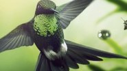 Un nouveau jour sur Terre