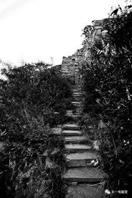 MongoDB.Entities.FuzzyString