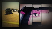 The Pink Gun Mystery
