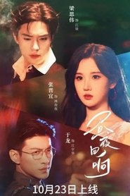 Affiche de 昼夜回响