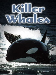 Killer Whales: Up Close and Personal (2000)