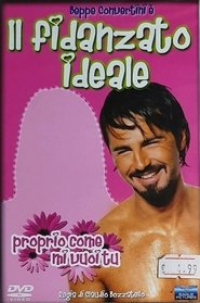 Poster Il fidanzato ideale 2004