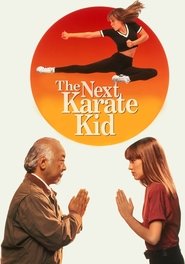 The Next Karate Kid streaming