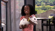 Somebunny's in Trouble