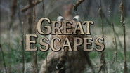 Great Escapes
