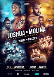 Dillian Whyte vs. Dereck Chisora
