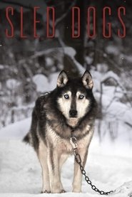 Poster Sled Dogs 2017