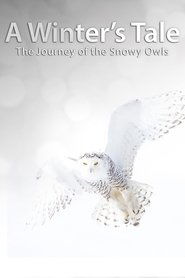Poster A Winter's Tale: The Journey Of The Snowy Owls 2014