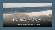 Denge Marsh in April