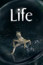 Poster Life 2009