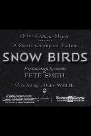 Poster Snow Birds