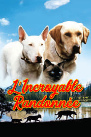 Regarder Film L'incroyable randonn&eacute;e en streaming VF