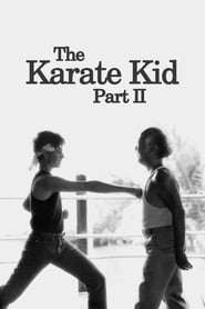 El Karate Kid 2 (1986) HD 1080p Latino