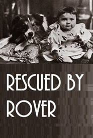 Rescued by Rover постер