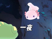 Episodul 8