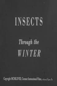 Poster Insects Through the Winter