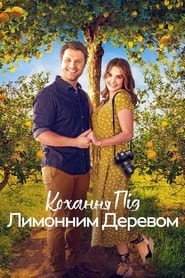 Кохання під лимонним деревом постер