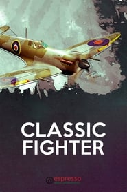 Poster Classic Fighter