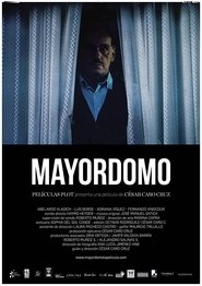 Poster Mayordomo 2017