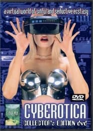 Cyberotica: Computer Escapes