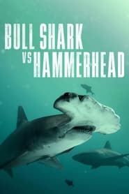 Bull Shark vs. Hammerhead (2023) Cliver HD - Legal - ver Online & Descargar