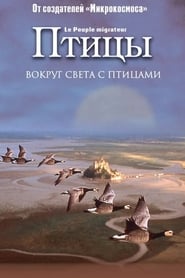 Птицы (2001)