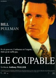 Film Le Coupable streaming