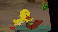 Southbound Duckling